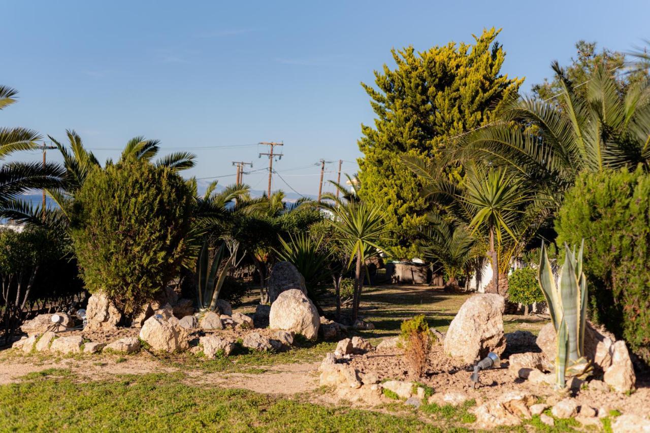 Vagia  Marina'S Paradise Summer House מראה חיצוני תמונה